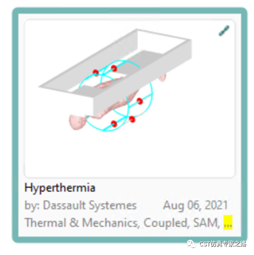 CST仿真實例：熱療Hyperthermia -生物模型，血液對